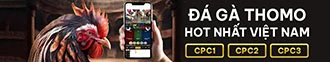 E2bet đá gà Thomo CPC